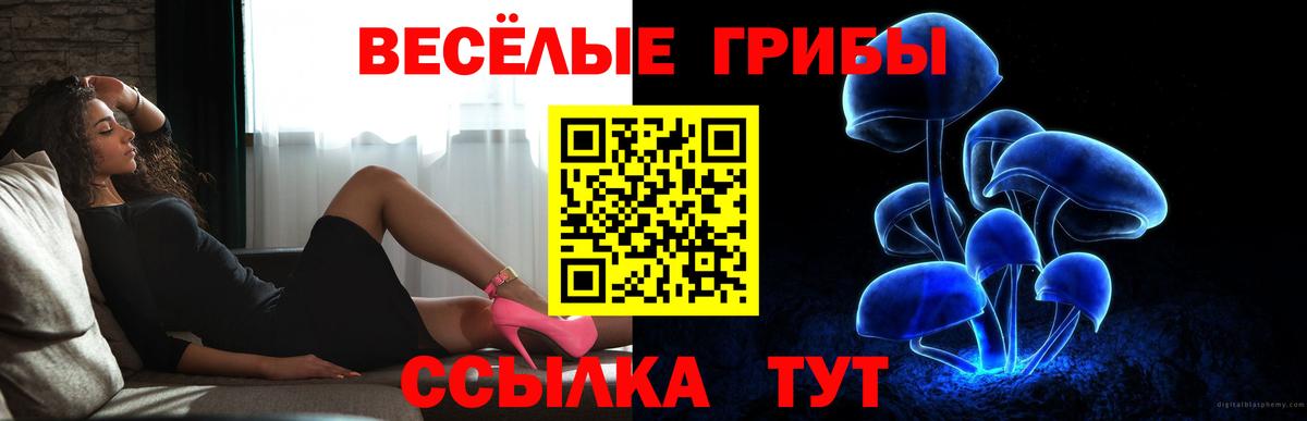 Галлюциногенные грибы прущие грибы Петрозаводск